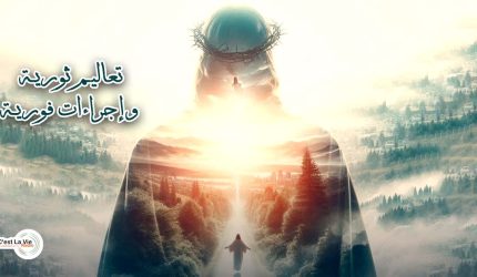 تعاليم ثوريَّة وإجراءات فوريَّة
