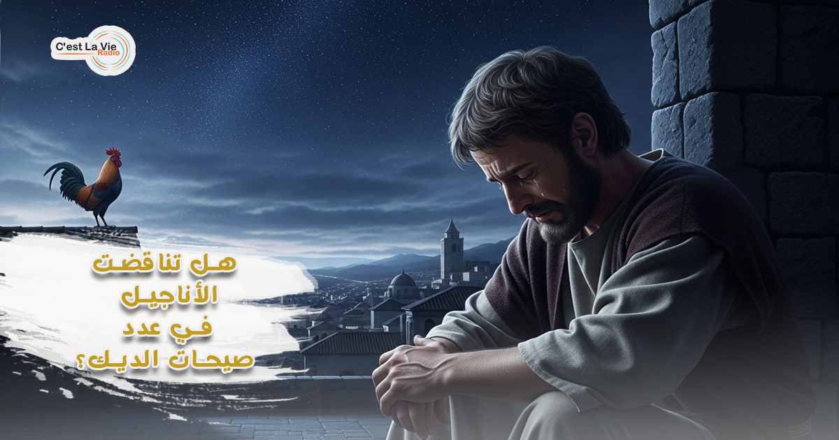 هل تناقضت الأناجيل في عدد صيحات الديك؟
