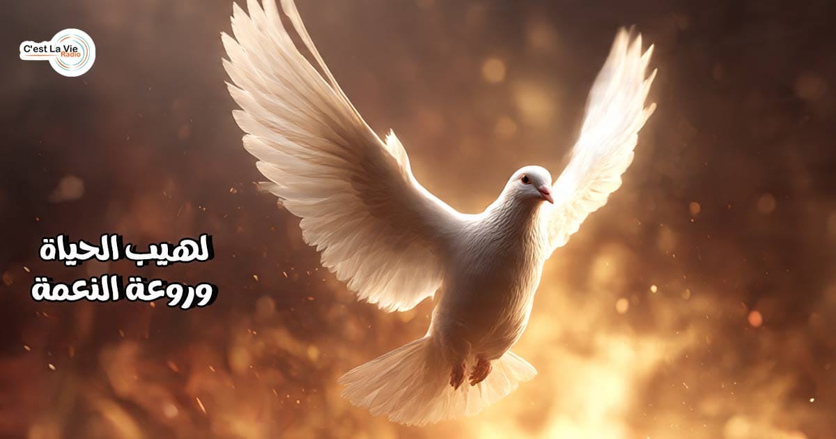 لهيب الحياة وروعة النعمة