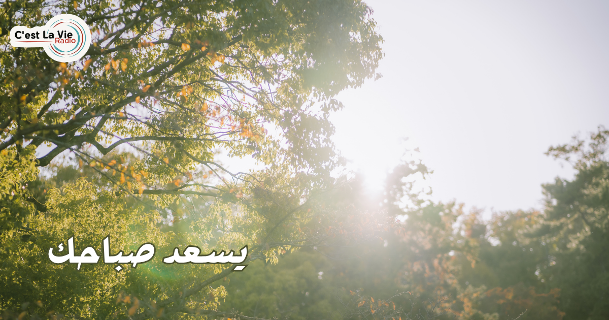 يسعد صباحك